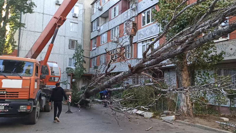 В Кировском районе Махачкалы устранили последствия сильного ветра