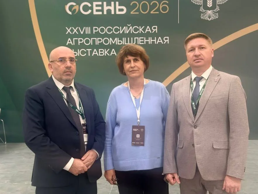 Власти Дагестана принимают меры против распространения мраморного клопа