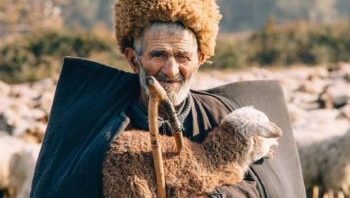 В Дагестане приступают к съемкам документального фильма о работе чабанов