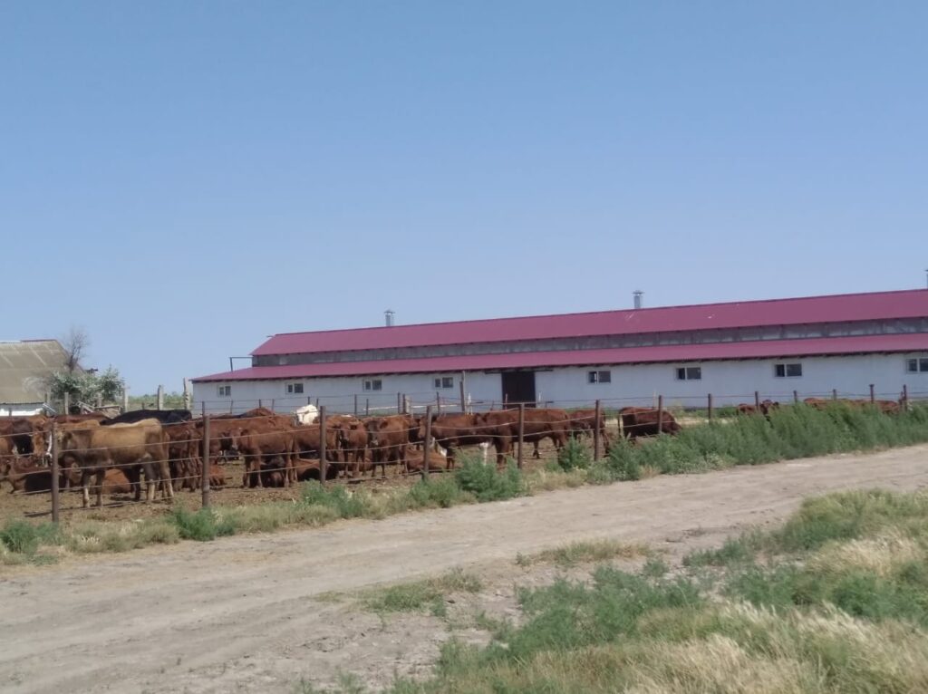 Жителя Дахадаевского района признали виновным в мошенничестве за получение незаконной субсидии