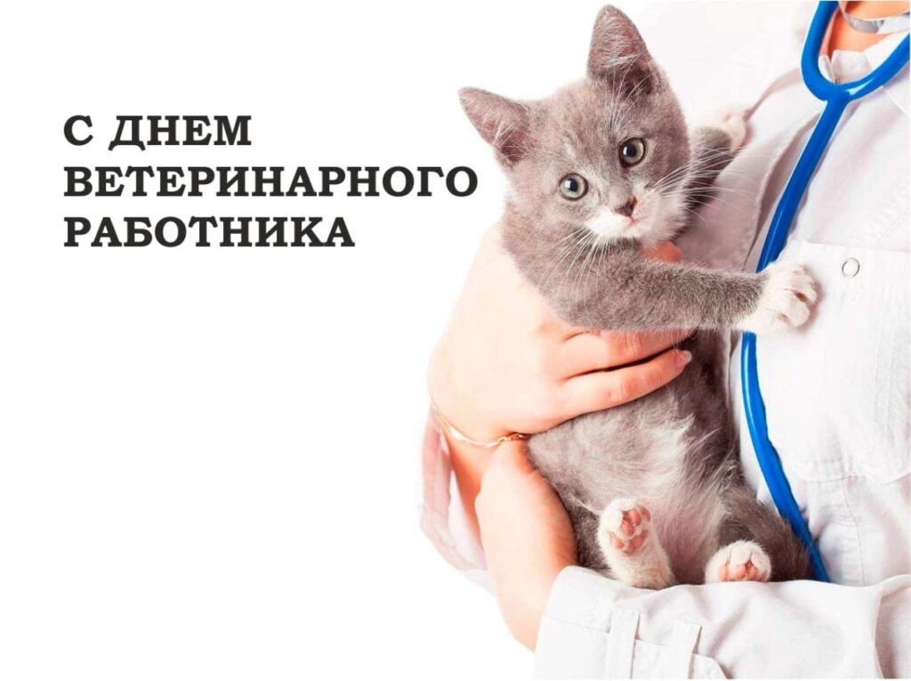 Поздравление руководителя Кавказского межрегионального управления Россельхознадзора Курбана Рамазанова с Днём Ветеринарного работника.