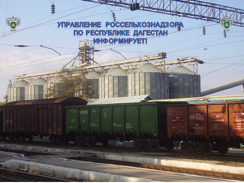 Информация для участников внешнеэкономической деятельности
