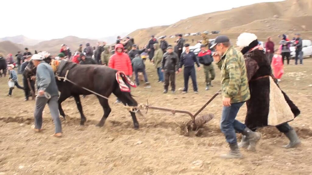 ОьвтIий буру Хъарас щаврил байрандалийн