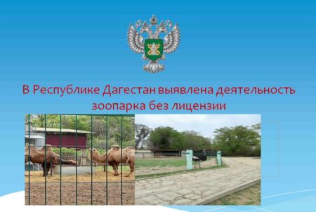 В Республике Дагестан Россельхознадзор выявил деятельность зоопарка без лицензии