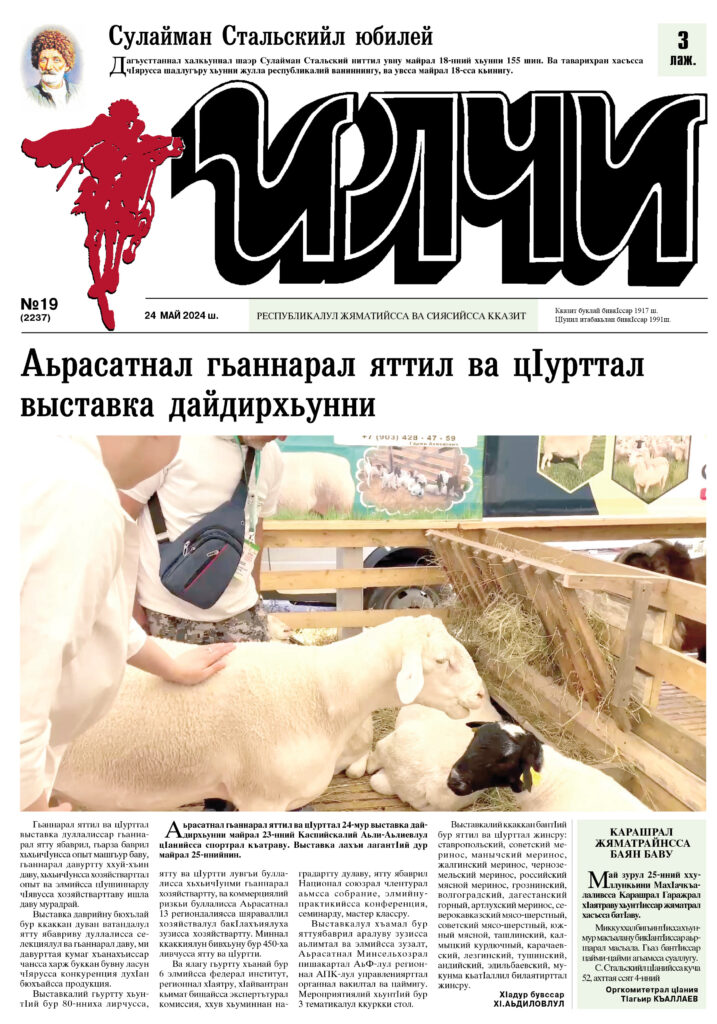 №19 Илчи 2024